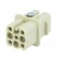 Connector: HDC | contact insert | female | Han® D | PIN: 8 | 7+PE | 10A image 2