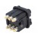 Connector: HDC | contact insert | female | Staf® | PIN: 6 | size 3A | 10A image 6