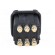 Connector: HDC | contact insert | female | Staf® | PIN: 6 | size 3A | 10A image 5