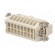 Connector: rectangular | male | Han E High Temp | PIN: 16 | size 16B image 6