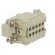 Connector: HDC | contact insert | male | Han® Ex | PIN: 10 | 10+PE | 16A image 4