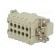 Connector: HDC | contact insert | male | Han® Ex | PIN: 10 | 10+PE | 16A image 6