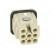 Connector: HDC | contact insert | male | Han® D | PIN: 8 | size 3A | 10A image 5