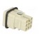 Connector: HDC | contact insert | male | Han® D | PIN: 8 | size 3A | 10A image 4