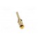 Contact | male | copper alloy | gold-plated | 0.5mm2 | 20AWG | crimped image 5