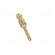 Contact | male | copper alloy | gold-plated | 0.5mm2 | 20AWG | crimped image 9