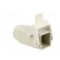 Enclosure: for Han connectors | Han | size 3A | for cable | straight image 8