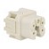 Connector: HDC | contact insert | female | S-A | PIN: 5 | 4+PE | size 3A фото 8