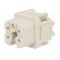 Connector: HDC | contact insert | female | S-A | PIN: 5 | 4+PE | size 3A фото 2