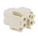 Connector: HDC | contact insert | female | S-A | PIN: 5 | 4+PE | size 3A image 4