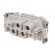 Connector: HDC | contact insert | female | S-K | PIN: 4 | 4+PE | size 16B фото 2