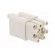Connector: HDC | contact insert | female | S-Q12/0 | PIN: 13 | 12+PE image 8