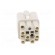 Connector: HDC | contact insert | female | S-Q12/0 | PIN: 13 | 12+PE image 9