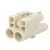 Connector: HDC | contact insert | female | S-Q2/0 | PIN: 3 | 2+PE | 40A фото 6