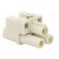 Connector: HDC | contact insert | female | S-Q2/0 | PIN: 3 | 2+PE | 40A фото 8