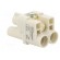 Connector: HDC | contact insert | female | S-Q2/0 | PIN: 3 | 2+PE | 40A image 4
