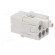 Connector: HDC | contact insert | female | S-QD5/0 | PIN: 6 | 5+PE | 16A image 4