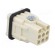 Connector: HDC | contact insert | male | S-D,S-D7 | PIN: 8 | 7+PE | 10A image 4
