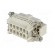 Connector: HDC | contact insert | male | S-E | PIN: 10 | 10+PE | size 10B image 6