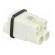 Connector: HDC | contact insert | male | S-Q2/0 | PIN: 3 | 2+PE | size 3A image 4