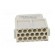 Connector: HDC | module | female | S-M10/17 | PIN: 17 | w/o contacts image 5