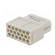 Connector: HDC | module | female | S-M10/17 | PIN: 17 | w/o contacts image 6