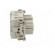 Connector: HDC | contact insert | female | CCE | PIN: 10 | 10+PE | 16A image 7