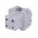 Connector: HDC | contact insert | female | CK | PIN: 4 | 3+PE | size 21.21 image 2