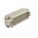 Connector: HDC | contact insert | male | CDS | PIN: 42 | 42+PE | 10A | 600V paveikslėlis 8