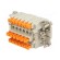 Connector: HDC | female | CDSH | PIN: 18 | 18+PE | size 57.27 | 10A | 400V image 6
