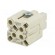 Connector: HDC | contact insert | female | CKS | PIN: 4 | 3+PE | 10A | 400V image 6
