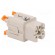 Connector: HDC | female | CKSH | PIN: 5 | 4+PE | size 21.21 | 10A | 400V image 8