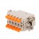 Connector: HDC | female | CSAH | PIN: 10 | 10+PE | size 49.16 | 16A | 250V image 6