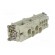 Connector: HDC | contact insert | female | CX | PIN: 4 | 4+PE | 80A | 600V image 4