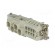 Connector: HDC | female | CX | PIN: 12(4+8) | size 104.27 | 400/690V image 6