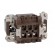 Connector: rectangular | male | 180 °C | 6+PE | size 44.27 | 16A | 500V image 5