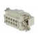 Connector: HDC | male | CNE | PIN: 10 | 10+PE | size 57.27 | 16A | 500V paveikslėlis 6