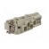 Connector: HDC | male | CX | PIN: 12(4+8) | size 104.27 | 400/690V image 4