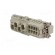 Connector: HDC | male | CX | PIN: 12(4+8) | size 104.27 | 400/690V image 6