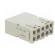 Connector: HDC | module | male | MIXO | PIN: 5 | with contacts | 16A | 400V paveikslėlis 4