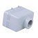 Enclosure: for HDC connectors | size 57.27 | IP66 | M20 | for cable image 4