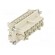 Connector: rectangular | female | EPIC H-BE | PIN: 16 | 16+PE | 16A | 500V image 8