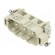 Connector: HDC | contact insert | male | EPIC H-BS | PIN: 6 | 6+PE | 35A image 1