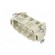 Connector: HDC | contact insert | male | EPIC H-BS | PIN: 6 | 6+PE | 35A image 2