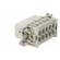 Connector: rectangular | female | EPIC H-A | PIN: 10 | 10+PE | 16A | 250V image 4