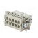 Connector: rectangular | female | EPIC H-A | PIN: 10 | 10+PE | 16A | 250V image 6