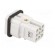 Connector: HDC | male | EPIC H-D | PIN: 8 | 7+PE | size H-A 3 | 10A | 60V image 4