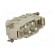 Connector: HDC | contact insert | male | EPIC POWER K | PIN: 6(4+2) image 8
