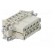 Connector: rectangular | female | EPIC H-A | PIN: 10 | 10+PE | 16A | 250V image 8