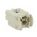 Connector: HDC | female | EPIC H-A | PIN: 4 | 3+PE | size H-A 3 | 23A | 400V image 4